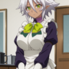 S-01 0101 Zestゼスト(The Testament of Sister New Devil新妹魔王の契約者) Full pics+2videos